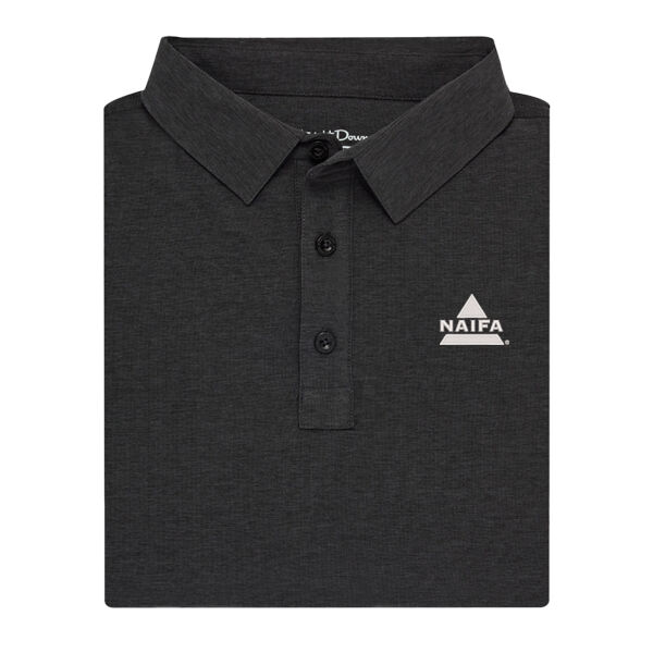   - Dodge Polo Thumbnail